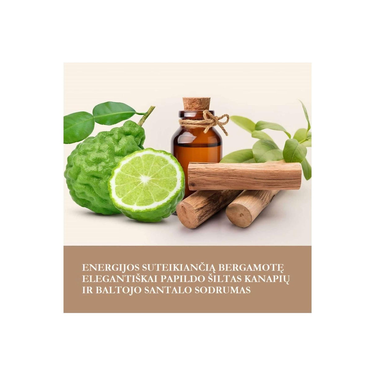 Baylis & Harding The Fuzzy Duck rinkinys vyrams su vonios priemonėmis